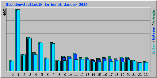 Stunden-Statistik im Monat Januar 2019