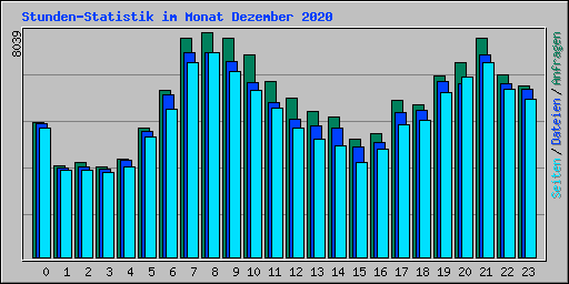 Stunden-Statistik im Monat Dezember 2020