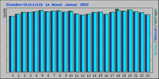 Stunden-Statistik im Monat Januar 2022