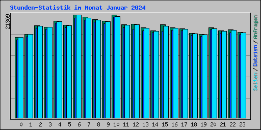 Stunden-Statistik im Monat Januar 2024