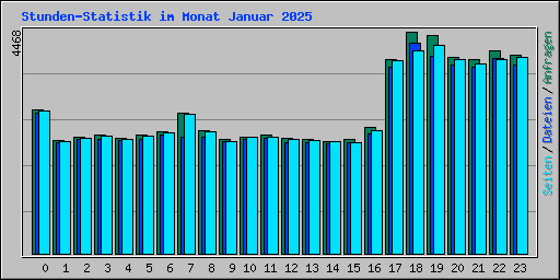 Stunden-Statistik im Monat Januar 2025