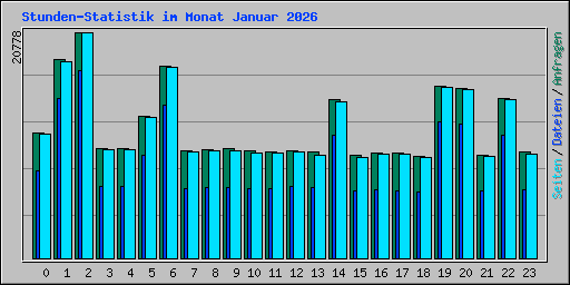 Stunden-Statistik im Monat Januar 2026