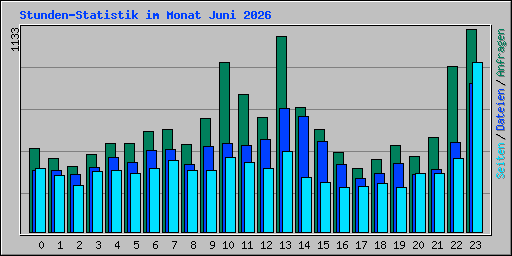 Stunden-Statistik im Monat Juni 2026